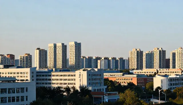 系统集成技术在业务优化中的适用条件与选择依据